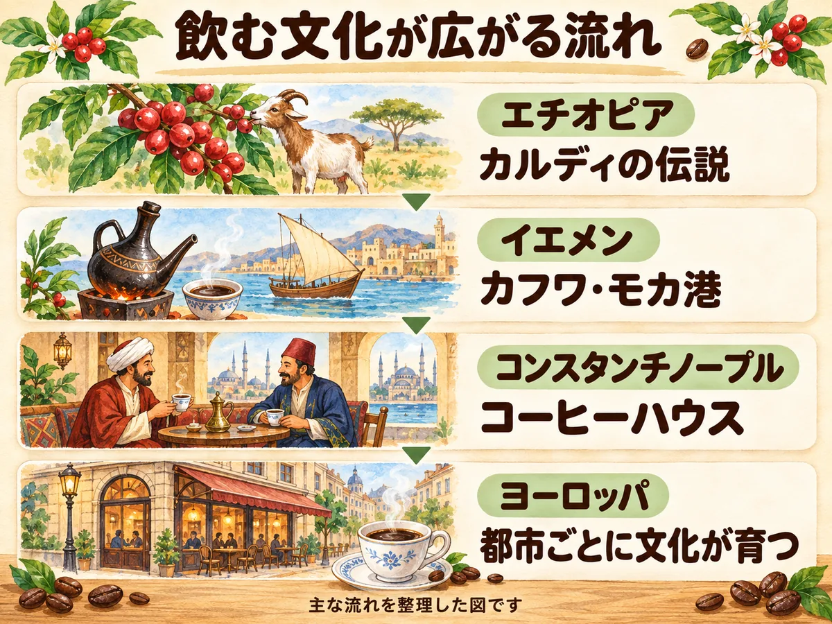 エチオピア、イエメン、コンスタンチノープル、ヨーロッパへコーヒーを飲む文化が広がる流れ