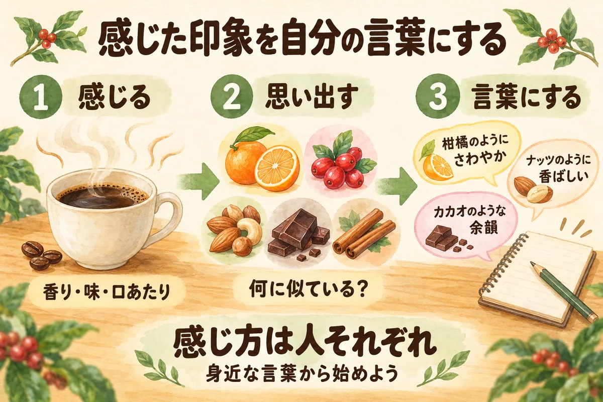 シトラス・ベリー・ナッツ・ココア・スパイスなど身近な食べ物から風味を表現するガイド
