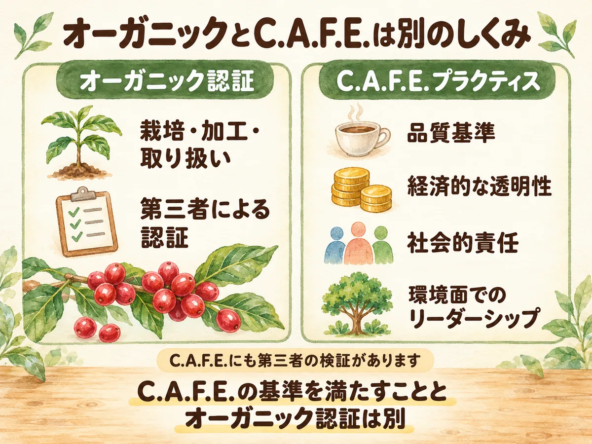 オーガニック認証の栽培・加工・取り扱いと第三者認証を、C.A.F.E.プラクティスの4つの構成要素と比較した図